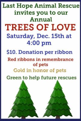 &#8220;Trees of Love&#8221; Lighting Ceremony