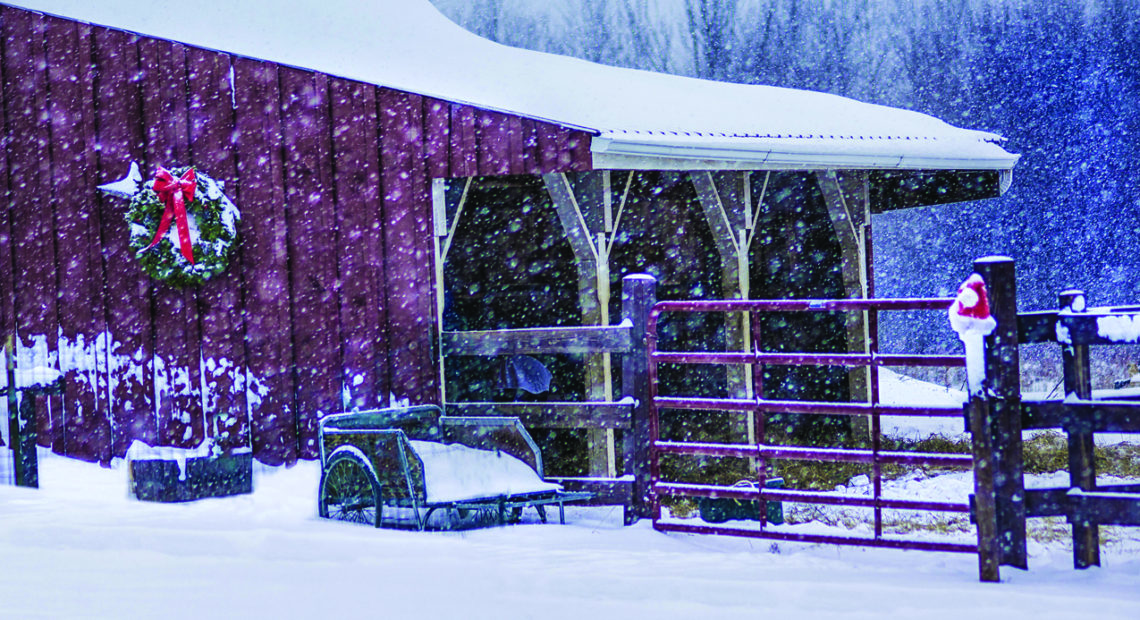 Wintertime Can Be ‘Snow’ Much Fun To Discover