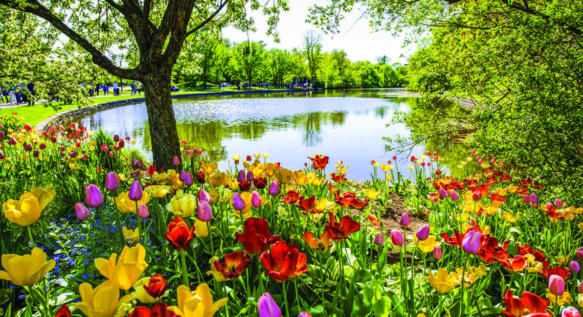I Love My Park Day 2019