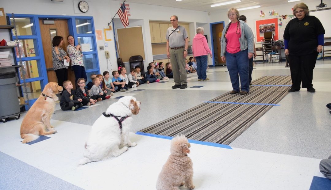 Waverly Learns To Care For Canines