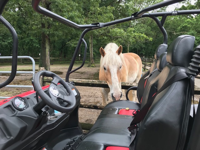 Pal-O-Mine Equestrian Receives New All-Terrain Vehicle From Joe and Patti Posillico, Posillico, Inc.