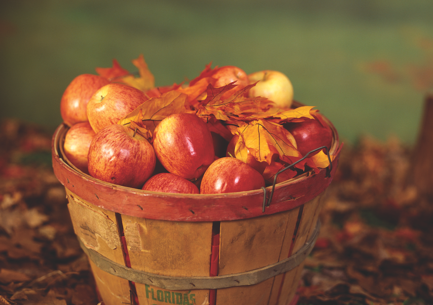 The Historical Society Of The Massapequas Presents Their Annual Apple Festival