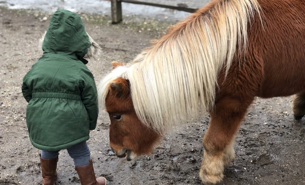 Pal-O-Mine Equestrian Now Offering Barnyard Buddies Program For Children Ages 18 months – 4 years