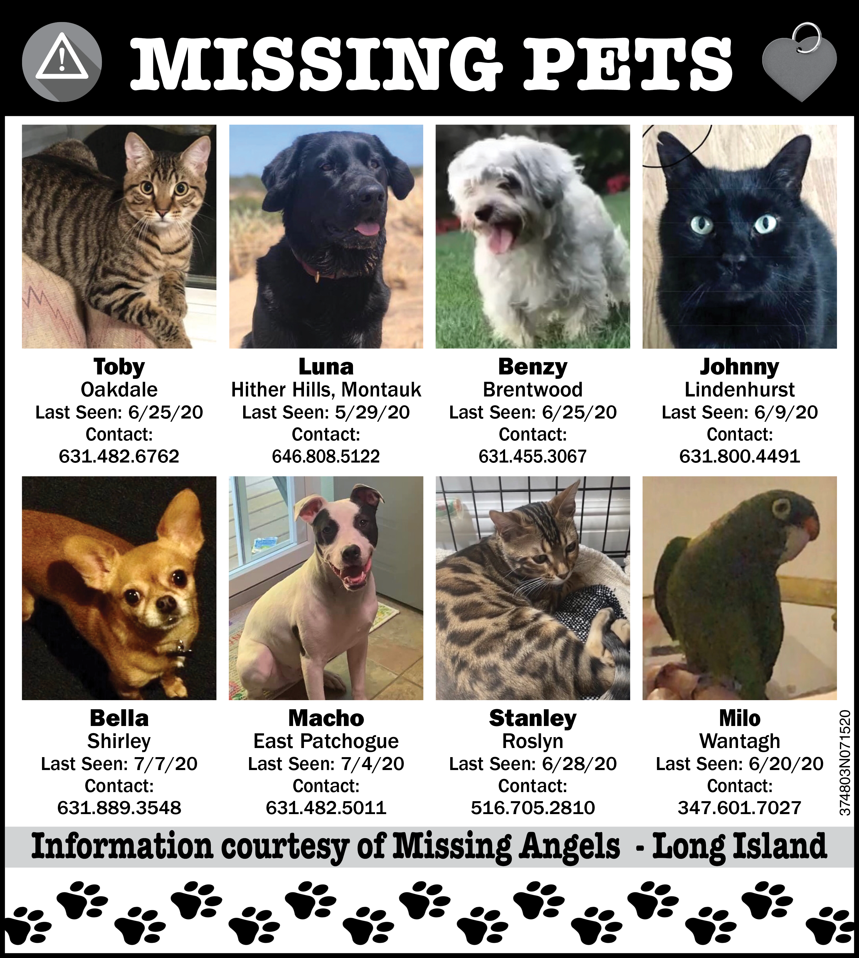 Missing Pets