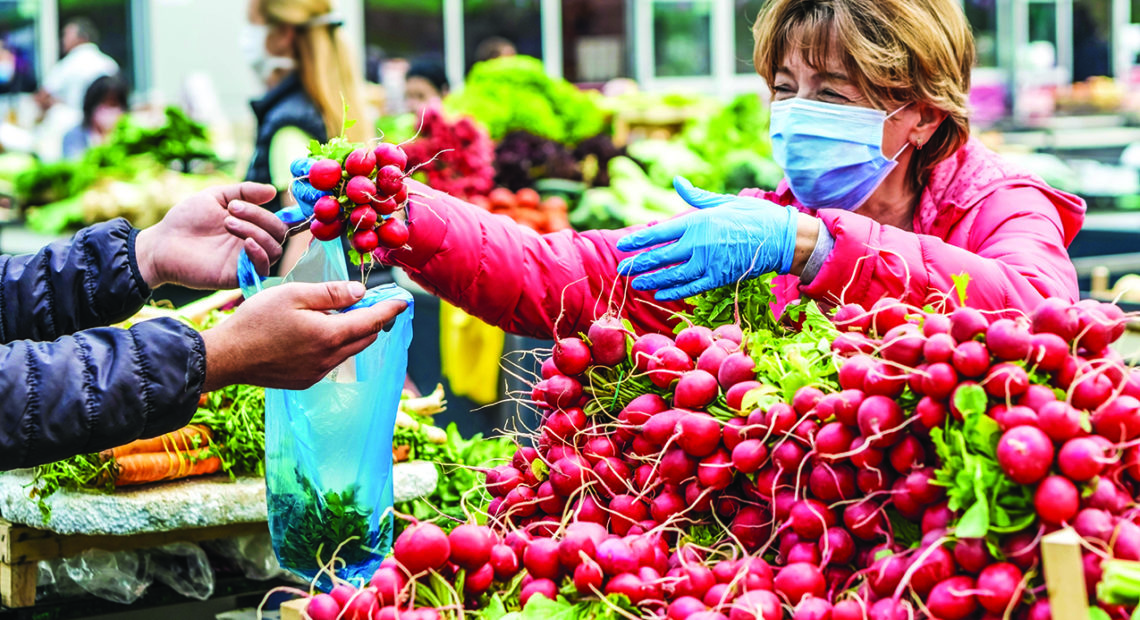 How to Support Local Agriculture This Fall