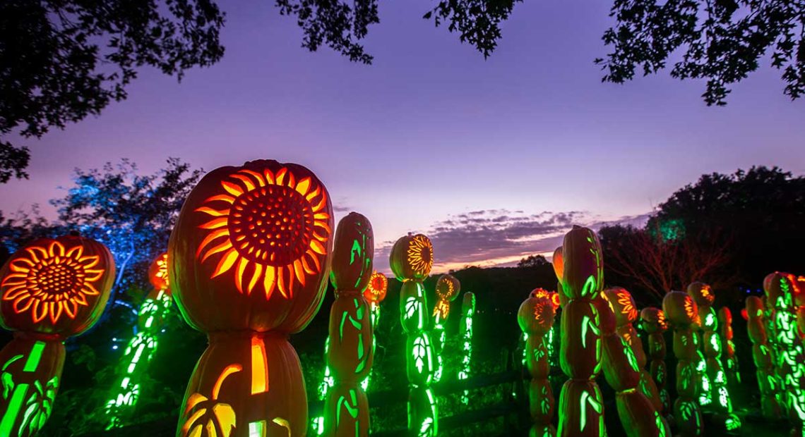 Due to Popular Demand, Curran Announces Extension of The Great Jack O’Lantern Blaze Hosted at the County’s Old Bethpage Village Restoration