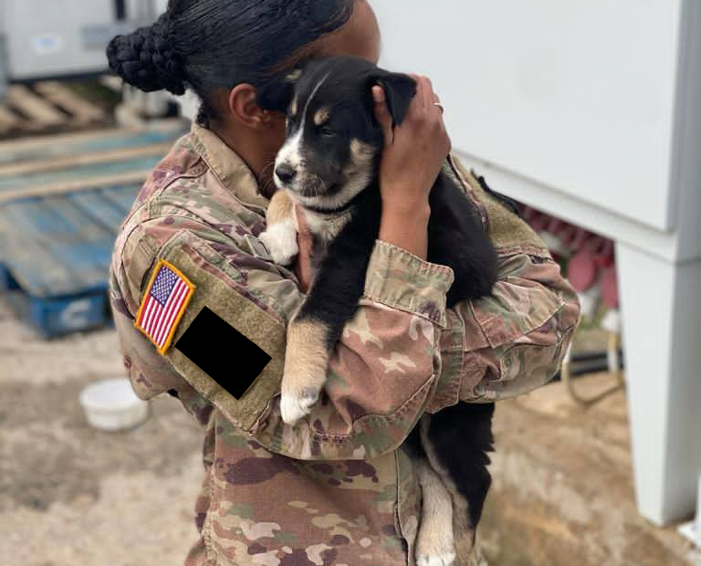 American Soldier Pleads For Help To Bring Rescued Dog Home