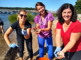 Councilwoman Walsh Invites Residents To Become Oyster Gardeners