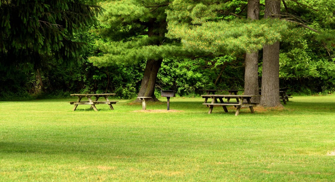 Councilman Hand Invites Residents To Apply For Picnic Permits Online