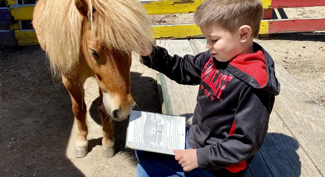 Pal-O-Mine Equestrian Now Offering Barnyard Buddies Program For Children Ages 2-5 Years