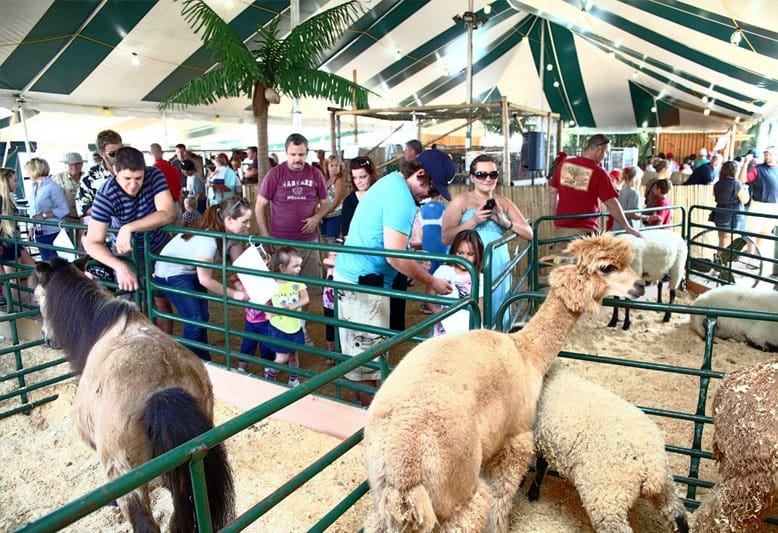 Empire State Fair Opens Today At Nassau Live Center In Uniondale
