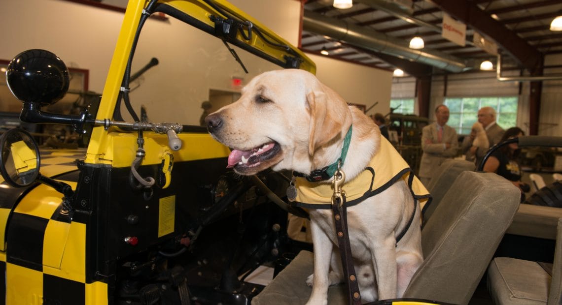 Veolia Invites Long Islanders To Join In Its Support Of Service Dogs For Veterans