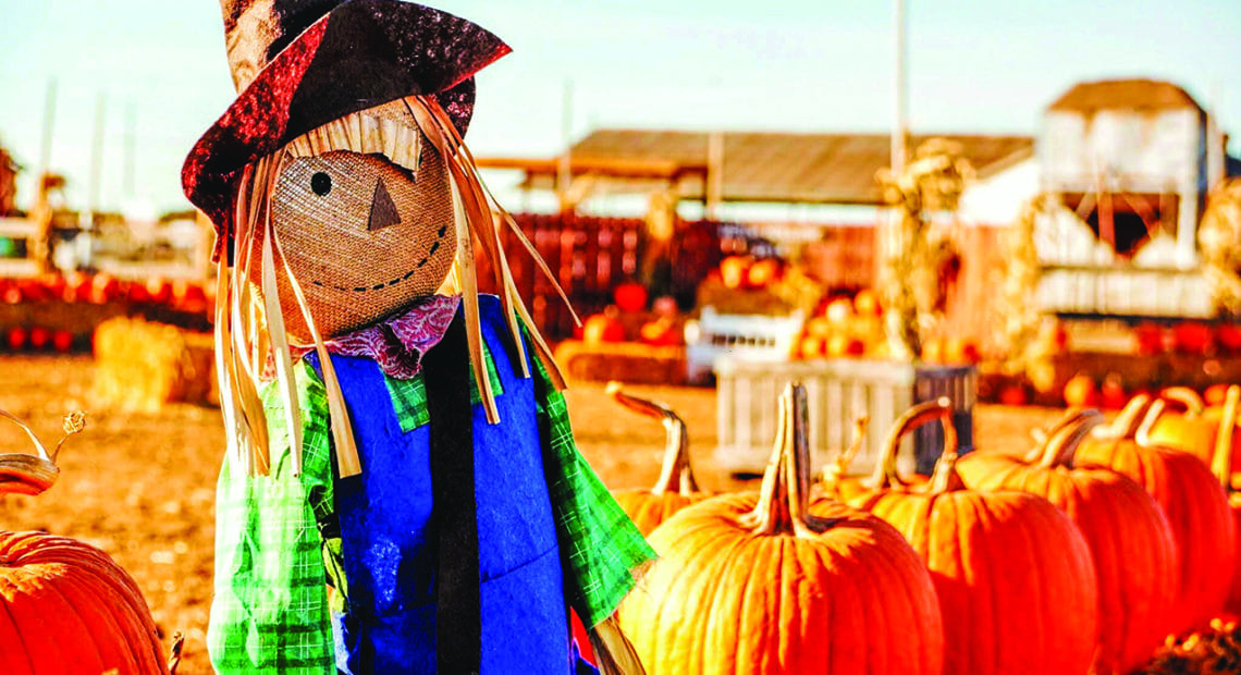 8 Sights To See At Fall Harvest Festivals