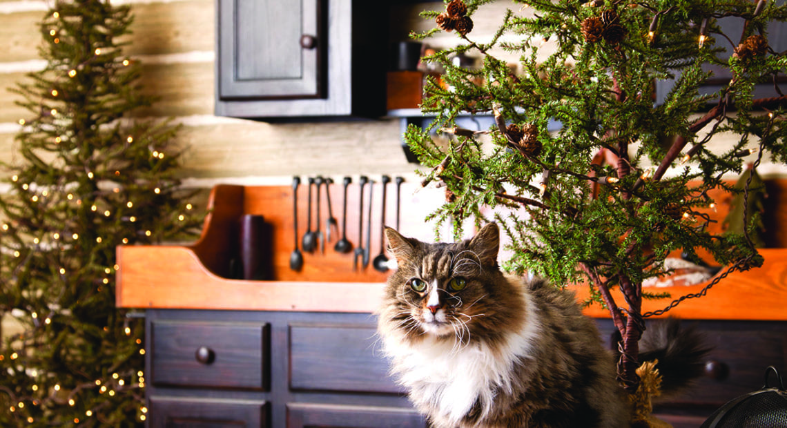 How To Pet Proof Your Home When Decking The Halls