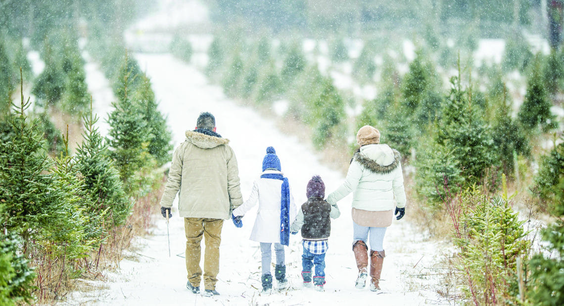 Craft An Entire Day Around Tree Shopping