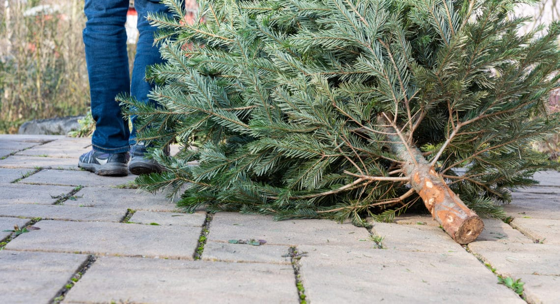 NFPA Encourages Prompt Removal Of Christmas Trees As One Third Of Christmas Tree Home Fires Occur In January