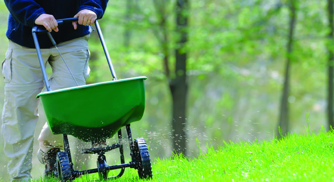 The Basics Of Fertilizing A Lawn