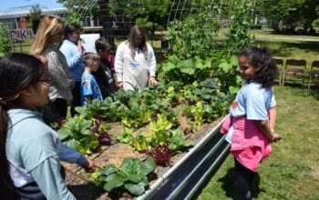 Meadowbrook Elementary School Holds Beautification Day Celebration