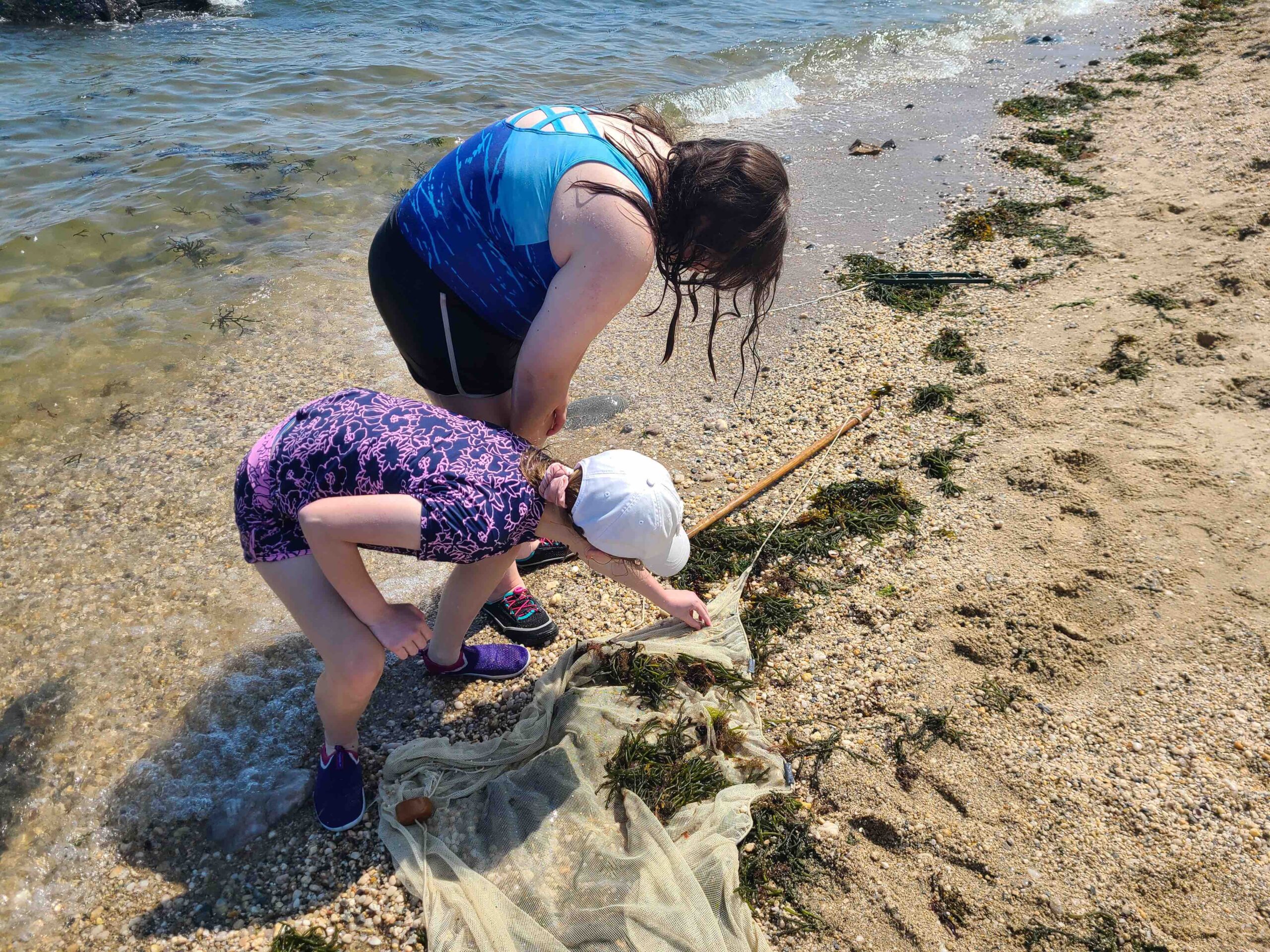 Marine Biology Camp Takes Students To Long Island’s Shore