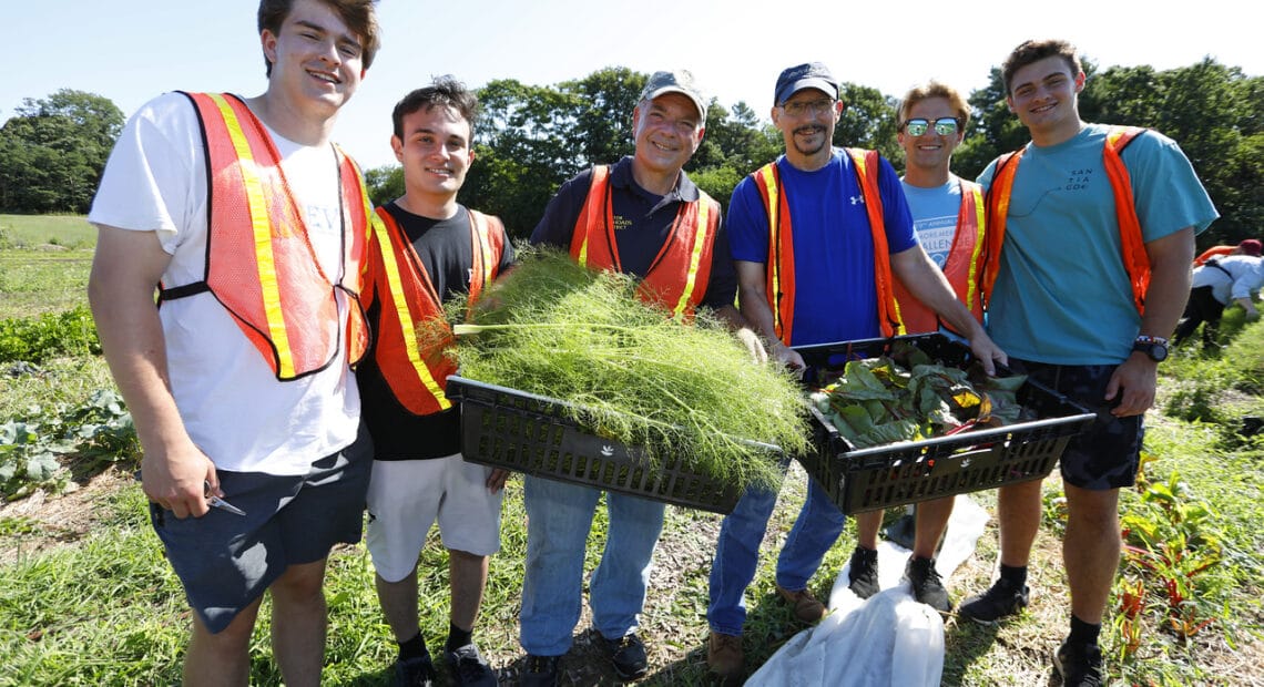 New York State Senator Steve Rhoads Hosts Successful Senate Farm Day Of Action In Partnership With Island Harvest