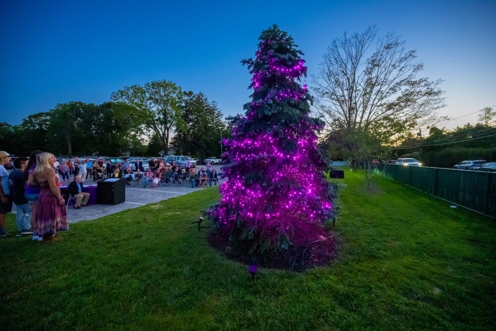 International Overdose Awareness Day Solemnized By Tree Lighting Long