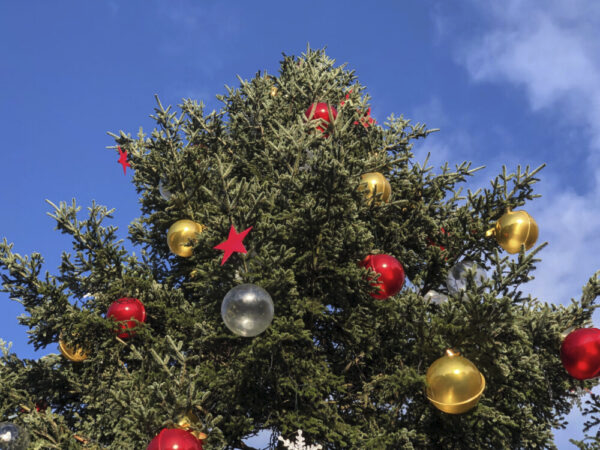 Smithtown To Host Annual Tree Lighting Ceremony On November 29th