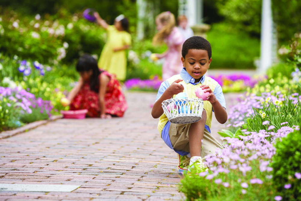 Hop On These Tips For A Great Easter Egg Hunt Long Island Media Group