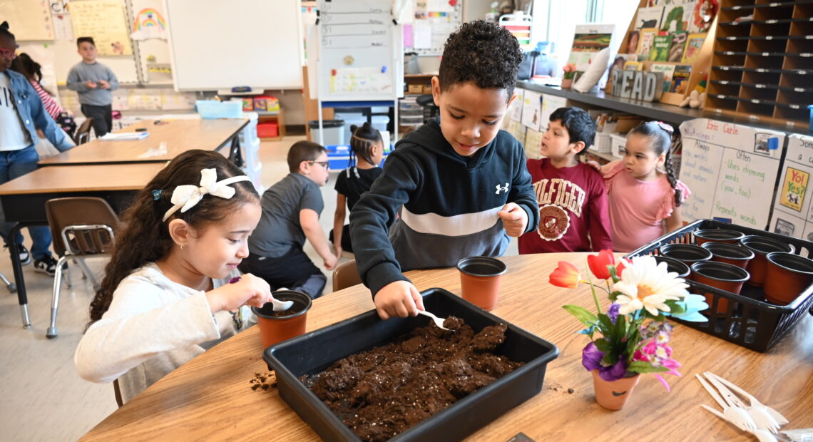 Seeds Sprout A Love Of Science For Kindergartners
