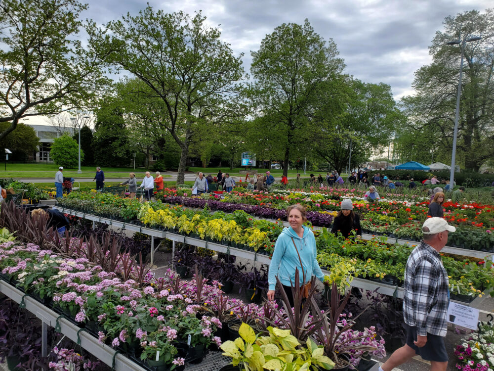 Farmingdale State College Holds Annual Plant Sale
