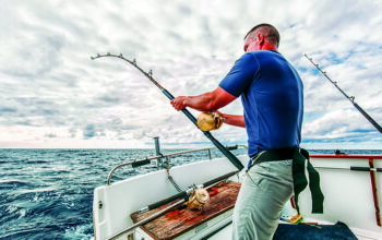 Town To Host Famous Bluefish Tournament In Oyster Bay