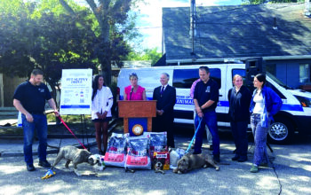 Pet Supply Drive To Support Local Animal Shelters