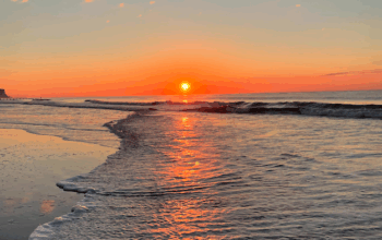 Saladino Extends Beach Weekends At TOBAY