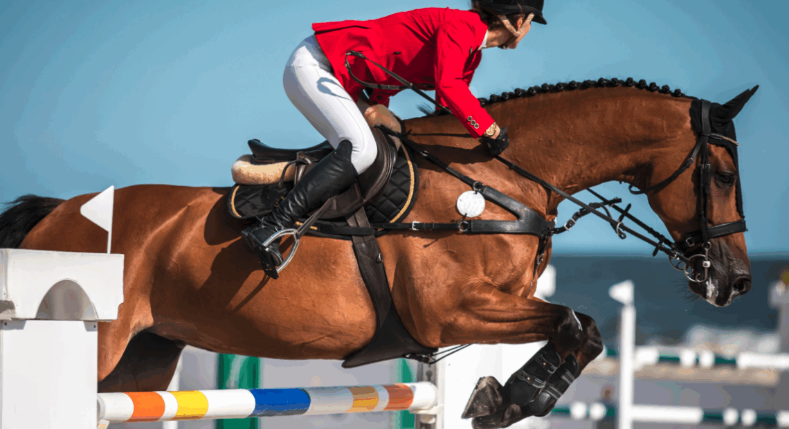 50th Annual Hampton Classic Horse Show