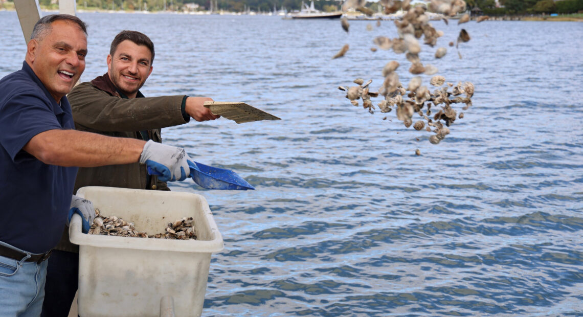 Thousands Of Baby Clams &#038; Oysters Added To Oyster Bay Harbor Shellfish Sanctuaries