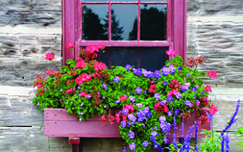 Budget-friendly Ways To Freshen Up Your Home&rsquo;s Exterior