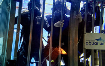 The People&rsquo;s Arc of Suffolk and Rise Life Services Host &ldquo;Shark Tank Showdown&rdquo; Fundraiser