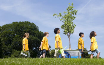 Arbor Day Events & Activities On Long Island