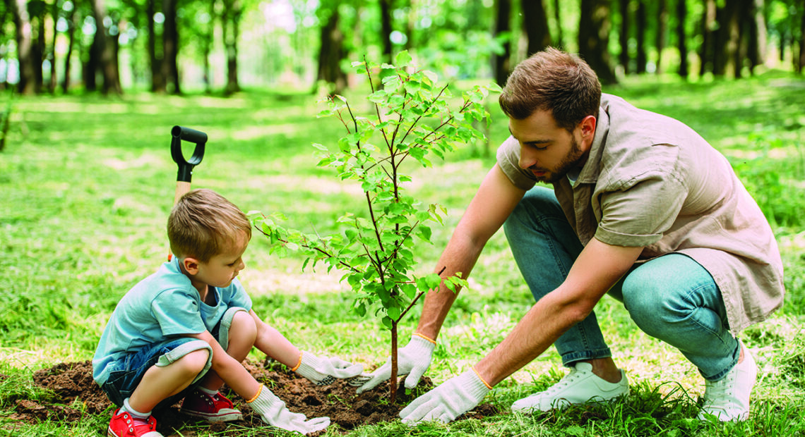 Fun And Educational Ways To Celebrate Earth Day
