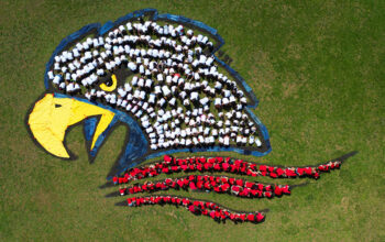 Bethpage Elementary Students Make “Art For The Sky”