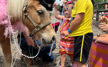 Meet The Horses At Pal-O-Mine&rsquo;s Family Event