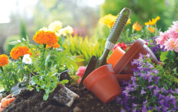 What To Do This Fall To Prepare Your Garden For Next Spring