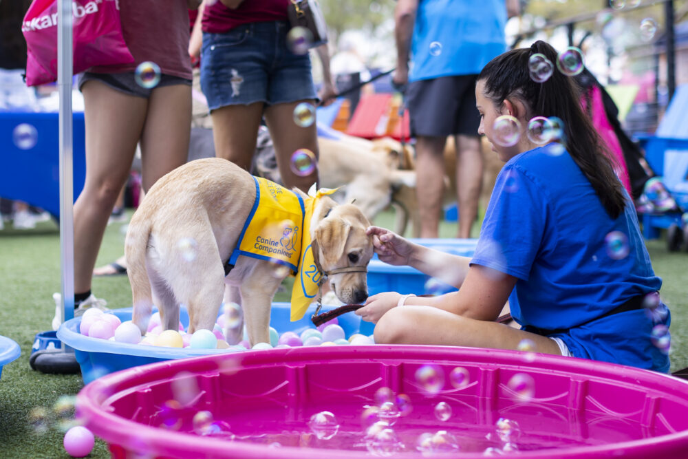 DogFest Long Island To Benefit Canine Companions