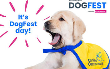 DogFest Long Island To Benefit Canine Companions