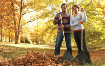 Cleaning Up Leaves