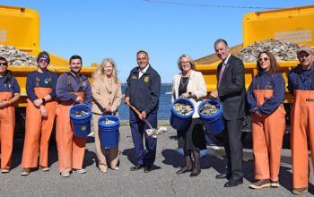 Town of Oyster Bay Recycles Thousands Of Shells From Oyster Festival For Harbor Sanctuary